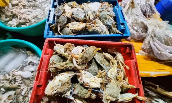 Cơ hội cho ngành hải sản Anh tại thị trường Việt Nam