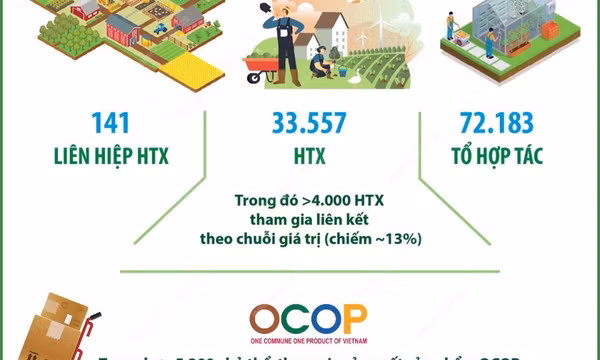 Kinh tế tập thể, hợp tác xã đóng góp khoảng 4,8% GDP cả nước