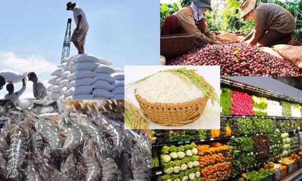 Điều chỉnh chiến lược xuất khẩu nông lâm thủy sản