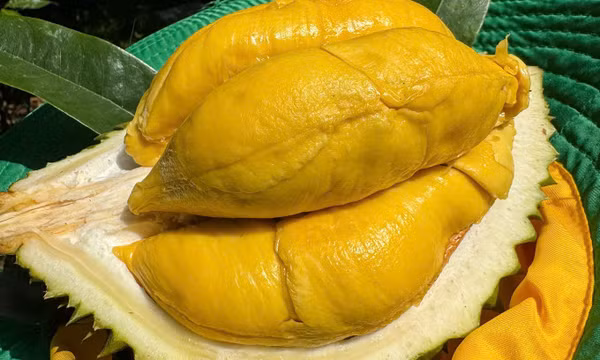 Sầu riêng Việt nguy cơ thất thế ở thị trường Trung Quốc
