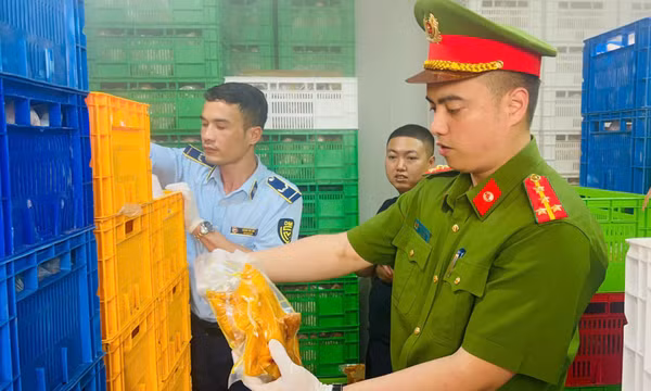 Phát hiện 20 tấn gà ủ muối, nội tạng 'bẩn' tại chợ đầu mối gia cầm ở Hà Nội