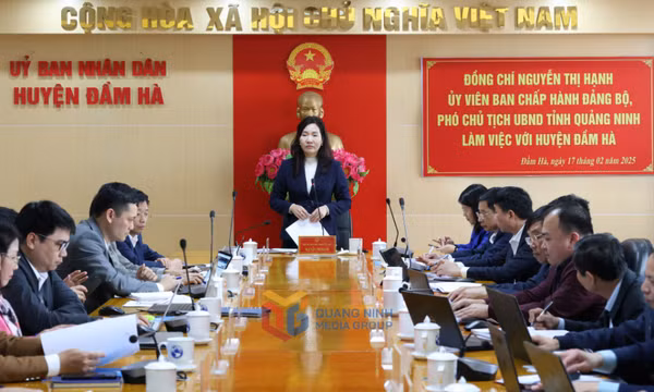 Huyện Đầm Hà: Chuyển động tích cực từ đầu năm