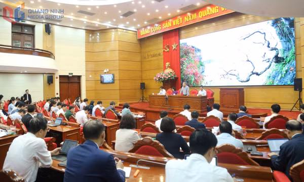 Triển khai thực hiện Kết luận số 134,135,136,137,138,139-KL/TW của Bộ Chính trị, Ban Bí thư Trung ương Đảng
