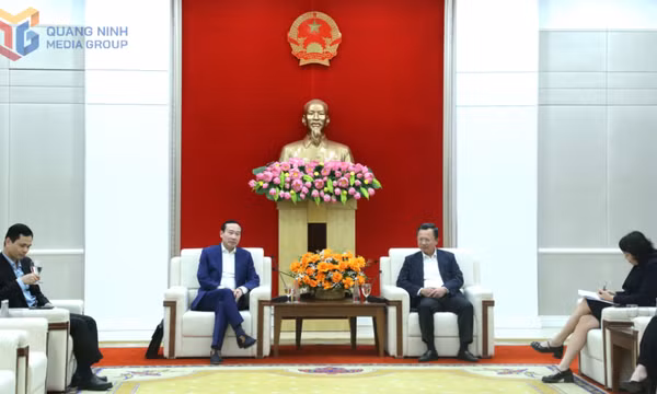 Lãnh đạo UBND tỉnh làm việc với Đại sứ Việt Nam tại Vương quốc Bỉ