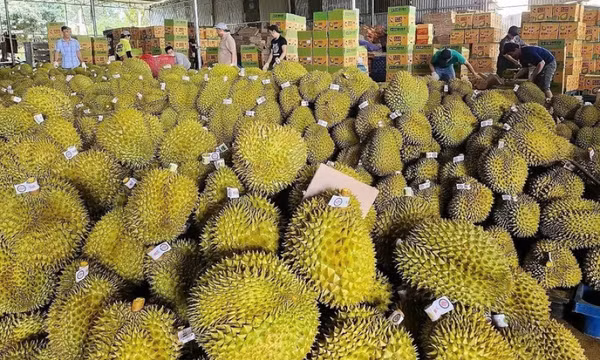 Tăng cường thúc đẩy hợp tác thương mại Việt Nam-Trung Quốc