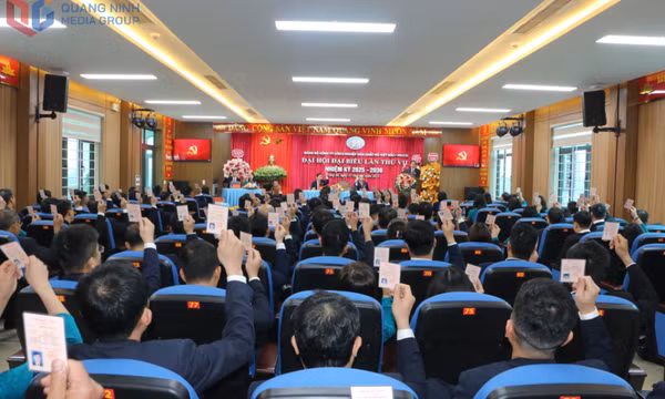 Đảng bộ Than Quảng Ninh: Chuẩn bị chu đáo đại hội đảng bộ các cấp
