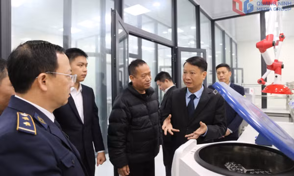 TP Móng Cái: Đảm bảo mục tiêu tăng trưởng kinh tế