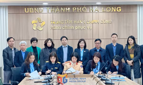 TP Hạ Long: Giữ vững vị trí quán quân