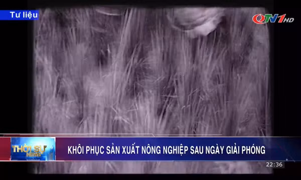 Khôi phục sản xuất nông nghiệp sau ngày giải phóng