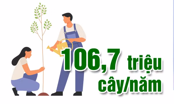 106,7 triệu cây/năm - là năng lực sản xuất giống cây lâm nghiệp của tỉnh