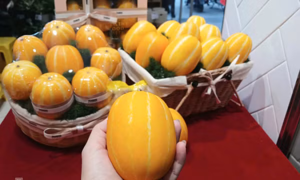 Dưa lê hoàng kim Hàn Quốc lần đầu được nhập về Việt Nam
