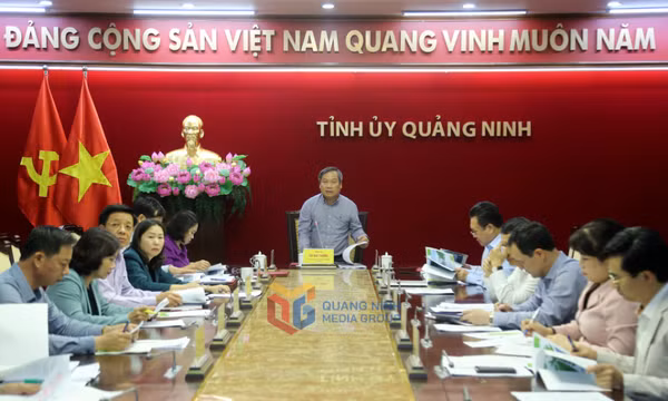Triển khai thực hiện Kết luận số 134,135,136,137,138,139-KL/TW của Bộ Chính trị, Ban Bí thư Trung ương Đảng 