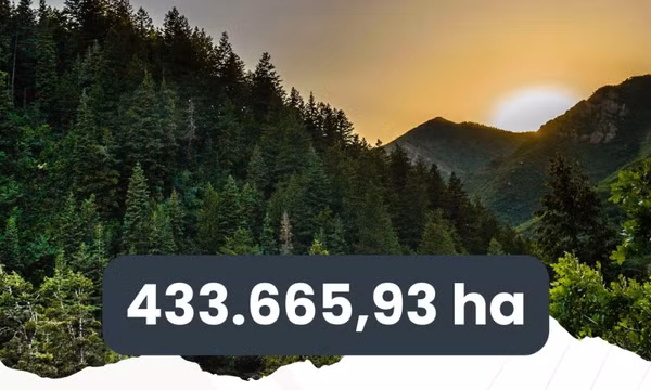 433.665,93 ha - là tổng diện tích rừng và đất quy hoạch phát triển rừng trên địa bàn tỉnh tính đến hết năm 2024