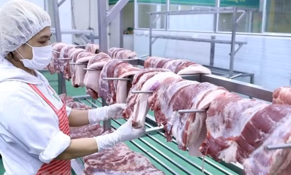 Nhập khẩu thịt không ảnh hưởng giá lợn trong nước