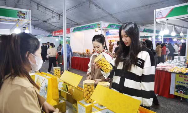 Xúc tiến thương mại, đa dạng hóa thị trường