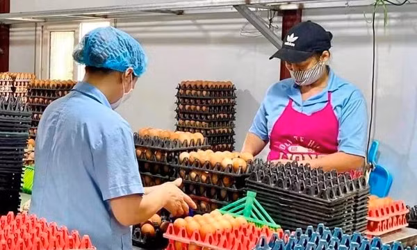 Gỡ điểm nghẽn tín dụng cho doanh nghiệp