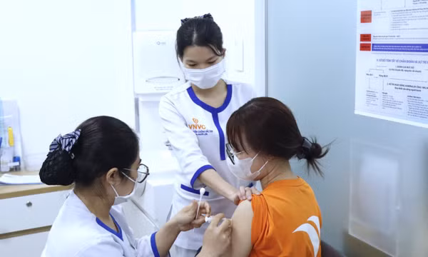 Cảnh báo nguy cơ bệnh dại gia tăng bởi thời tiết nắng nóng