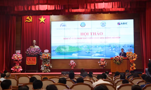 Hội thảo về giải pháp bảo hiểm cho HTX nông nghiệp