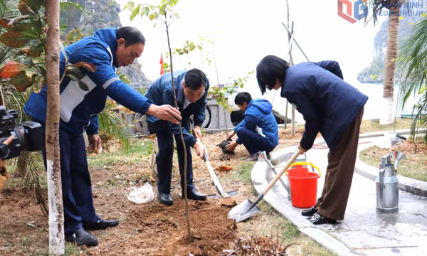 Nỗ lực thực hiện chính sách pháp luật về bảo vệ môi trường