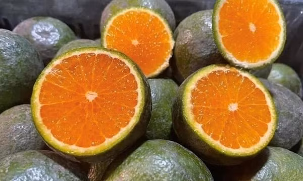 5 lối sống lành mạnh giúp mắt sáng khỏe