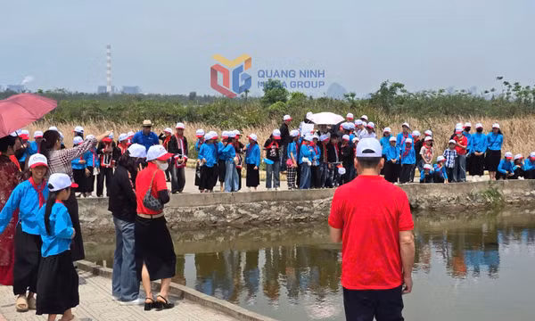 Quan tâm, đầu tư nâng cấp Khu di tích lịch sử quốc gia đặc biệt Bạch Đằng