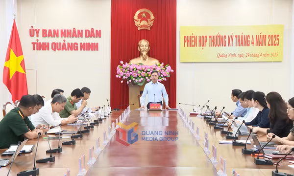UBND tỉnh họp thường kỳ tháng 4