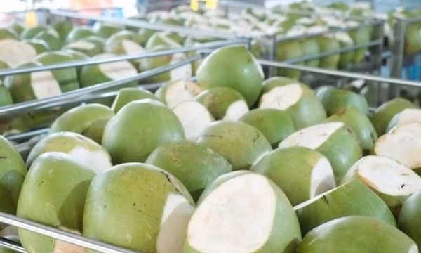 Mỹ tăng nhập rau quả Việt Nam