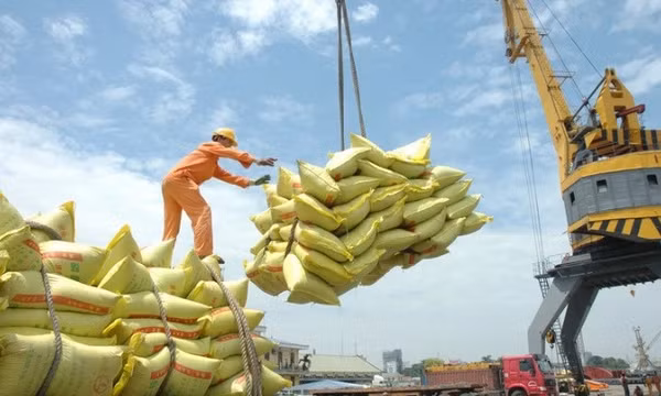 Việt Nam còn dư địa để tăng xuất khẩu gạo
