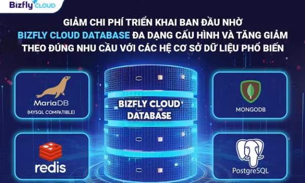 Tối ưu hóa doanh nghiệp với giải pháp Bizfly Cloud Database đột phá