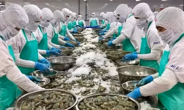 Chuẩn bị sẵn kịch bản và giải pháp trước chính sách thuế quan của Mỹ