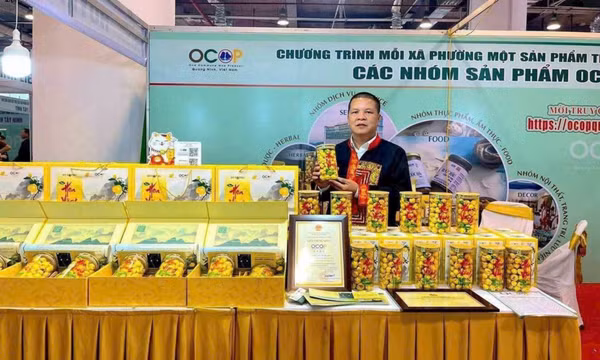 Thúc đẩy thương hiệu Trà hoa vàng Ba Chẽ
