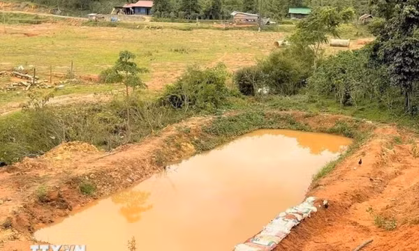 Đắk Nông: Đuối nước thương tâm tại ao trải bạt, 2 cháu nhỏ tử vong