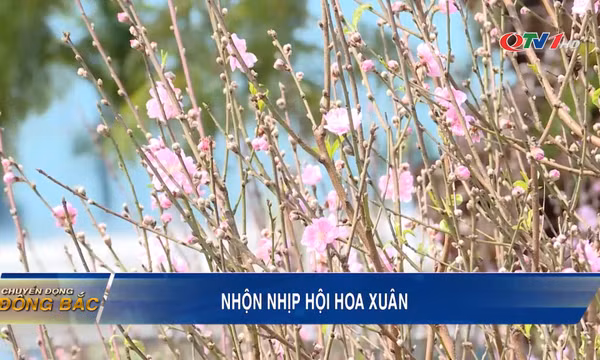 Nhộn nhịp hội hoa xuân
