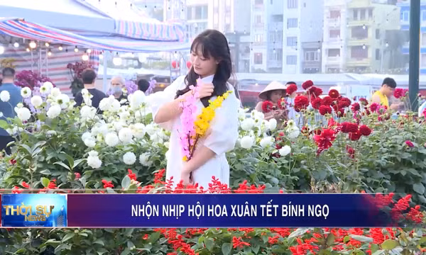 Nhộn nhịp hội hoa xuân Tết Bính Ngọ