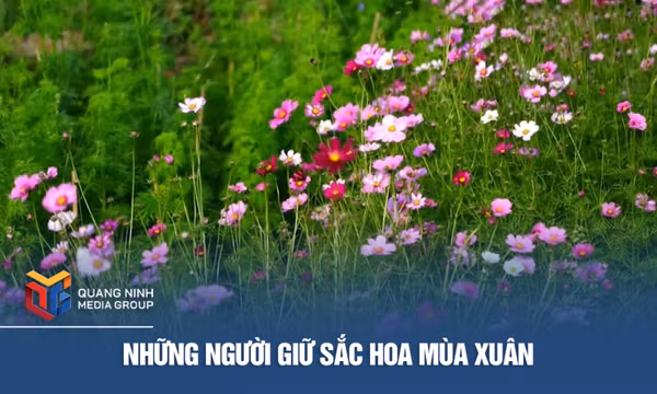 Những người giữ sắc hoa mùa xuân