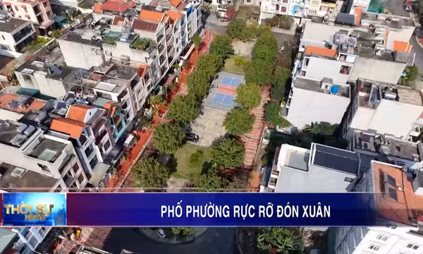 Phố phường rực rỡ đón xuân