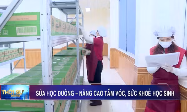 Sữa học đường – Nâng cao tầm vóc, sức khỏe học sinh