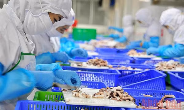 9 tháng, tỷ lệ thất nghiệp chung cả nước là 2,67%
