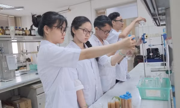 Chiết xuất hoạt chất trong bưởi non làm viên hạ mỡ máu