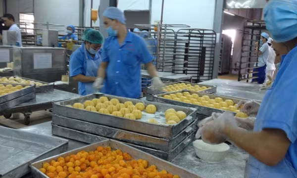 Bình quân mỗi tháng có 10.000 doanh nghiệp rút lui khỏi thị trường