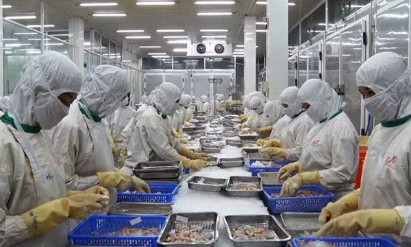 Tiếp sức cho doanh nghiệp khôi phục sản xuất