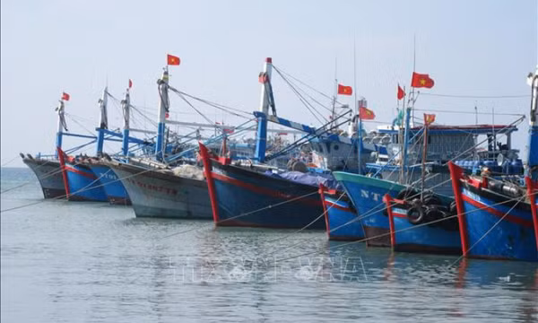 Quyết tâm gỡ cảnh báo 'thẻ vàng' của EC