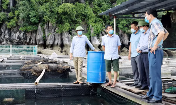 Tiếp sức cho doanh nghiệp 