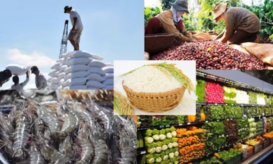 Thủ tướng Chính phủ chỉ đạo thúc đẩy sản xuất, lưu thông, XK nông sản