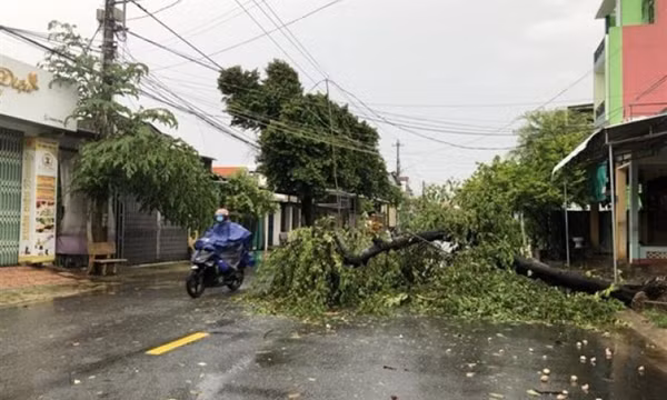 Khu vực đồng bằng và ven biển Bắc Bộ, Thanh Hóa, Nghệ An có mưa to