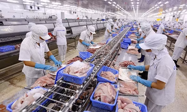 Mỏ vàng tỷ USD bị vứt bỏ, lẫn trong rác bẩn ở Việt Nam