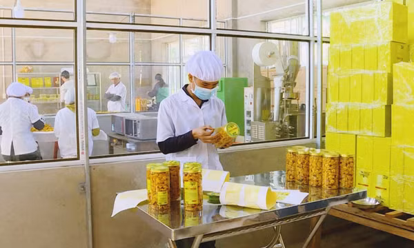 Thúc đẩy công nghiệp chế biến nông sản