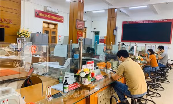 Ngân hàng đáp ứng kịp thời nhu cầu vốn phục hồi sản xuất