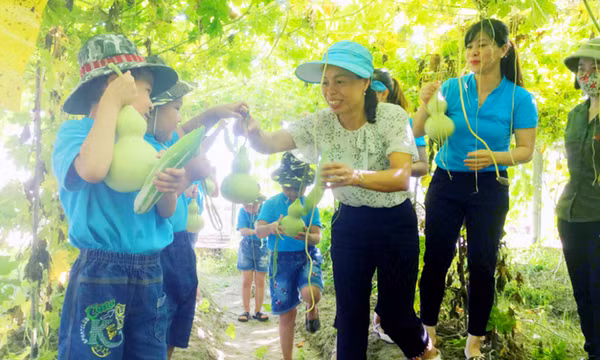 "Đổi gió" về nông thôn trải nghiệm 