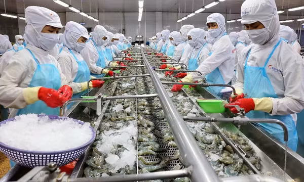 Tháo gỡ khó cho ngành tôm trong bối cảnh dịch bệnh